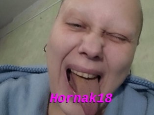 Hornak18