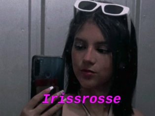 Irissrosse