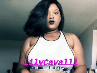 Lily_Cavalli