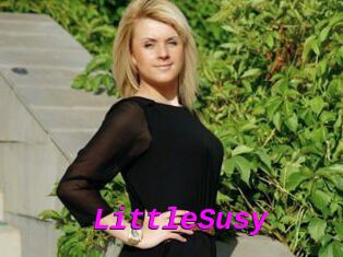 LittleSusy