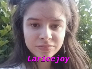 Laricejoy