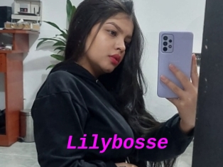 Lilybosse