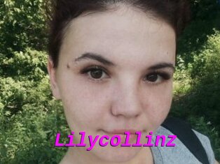 Lilycollinz