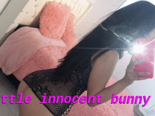 Little_innocent_bunny