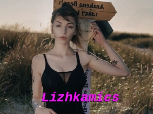 Lizhkamics