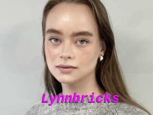 Lynnbricks