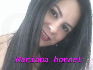 Mariana_hornet