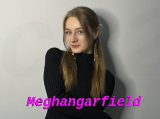 Meghangarfield