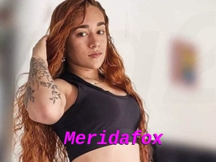 Meridafox