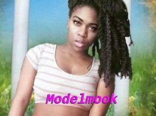 Modelmook