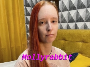 Mollyrabbit