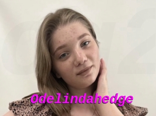 Odelindahedge