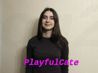 PlayfulCate