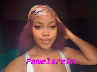 Pamelarein