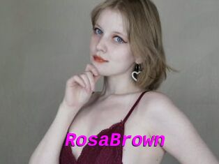 RosaBrown