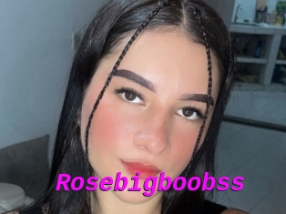 Rosebigboobss