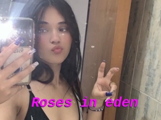 Roses_in_eden