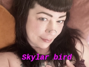 Skylar_bird