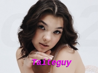 Taiteguy