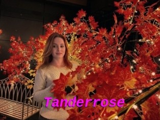 Tanderrose