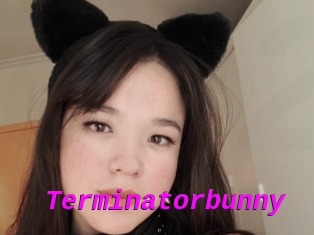 Terminatorbunny