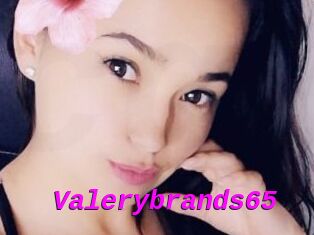 Valerybrands65