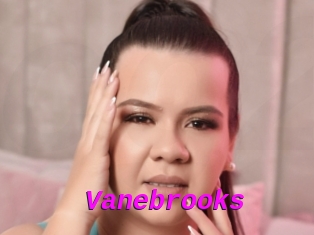 Vanebrooks