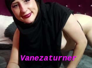 Vanezaturner