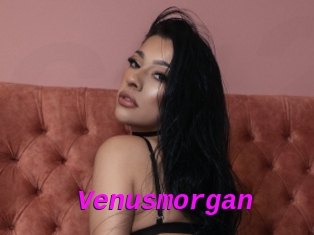 Venusmorgan