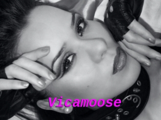 Vicamoose