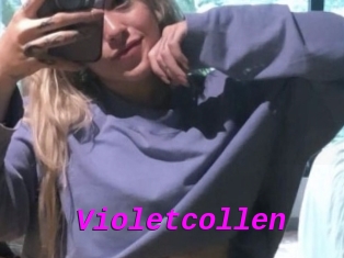 Violetcollen