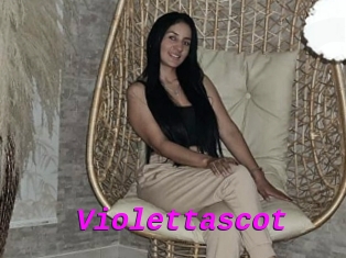 Violettascot