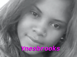 Ynesbrooks