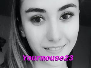 Yourmouse23